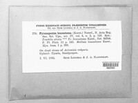 Image Associated With the Occurence